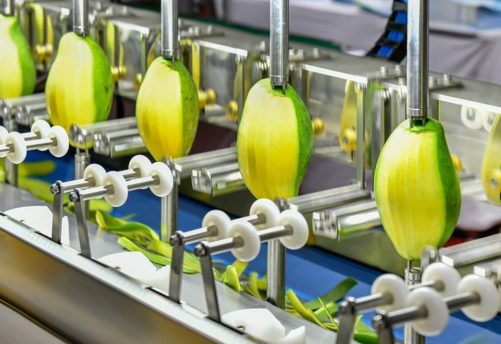 Fruit Processing and Packaging Line in the Food Industry